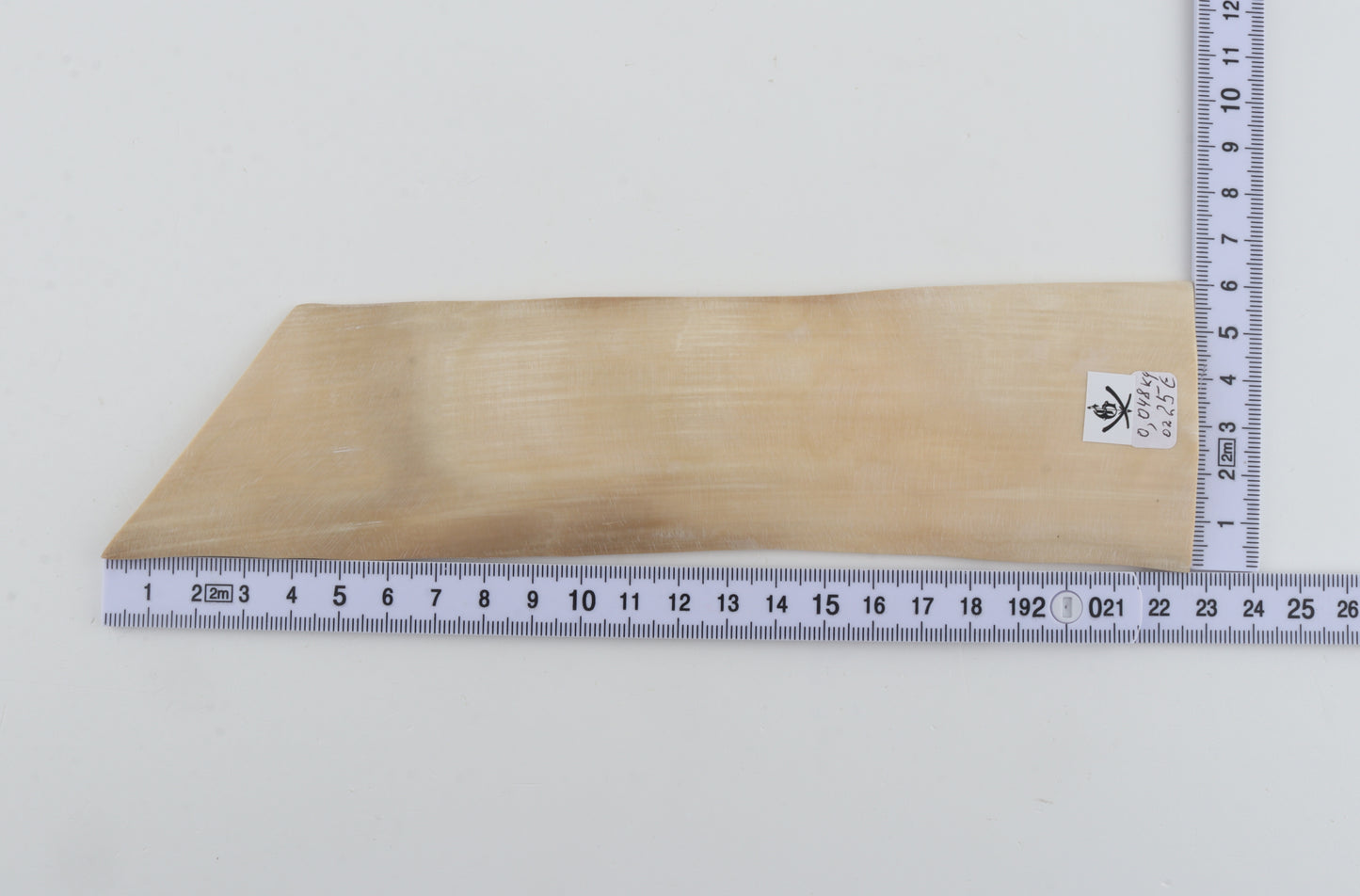 Natural mammoth ivory piece