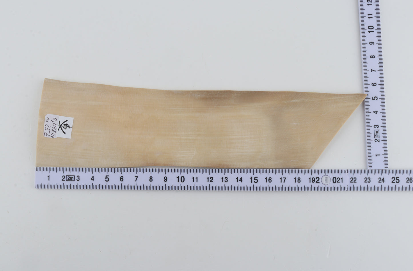 Natural mammoth ivory piece