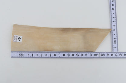Natural mammoth ivory piece