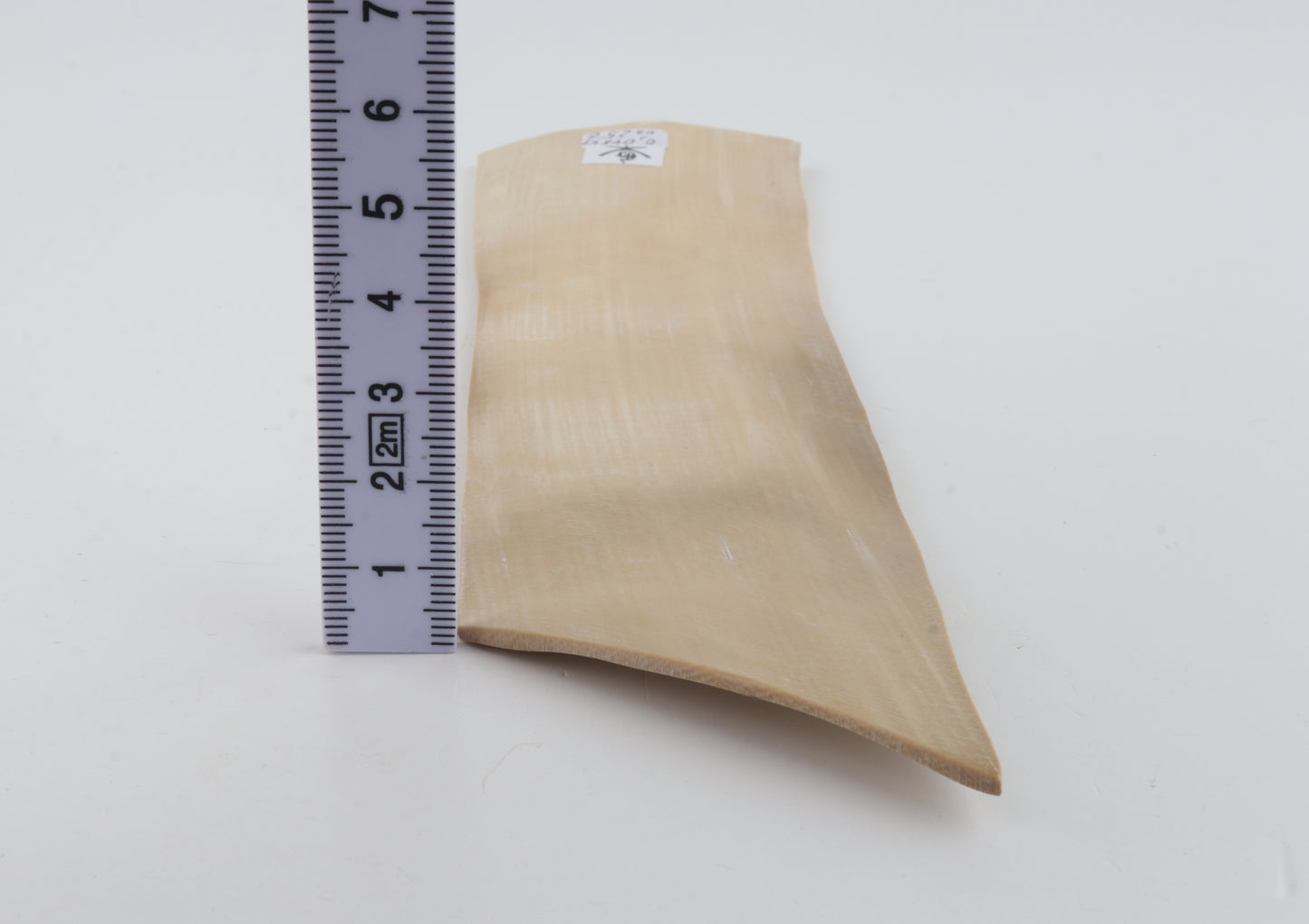 Natural mammoth ivory piece
