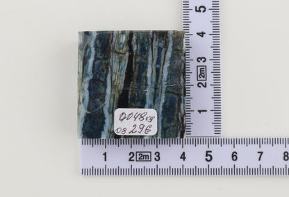 Stabilized mammoth molar piece