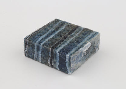 Stabilized mammoth molar piece