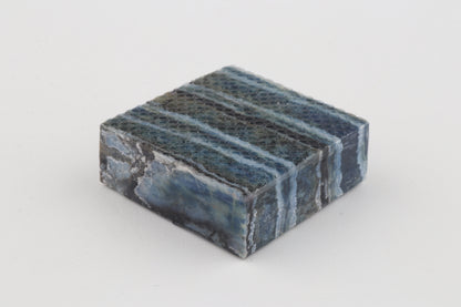 Stabilized mammoth molar piece