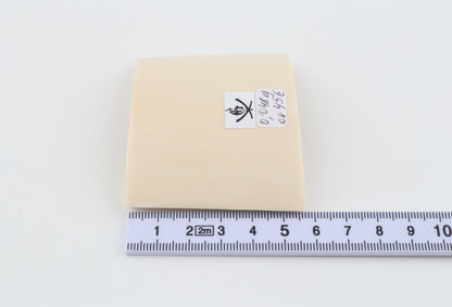 White mammoth ivory segment