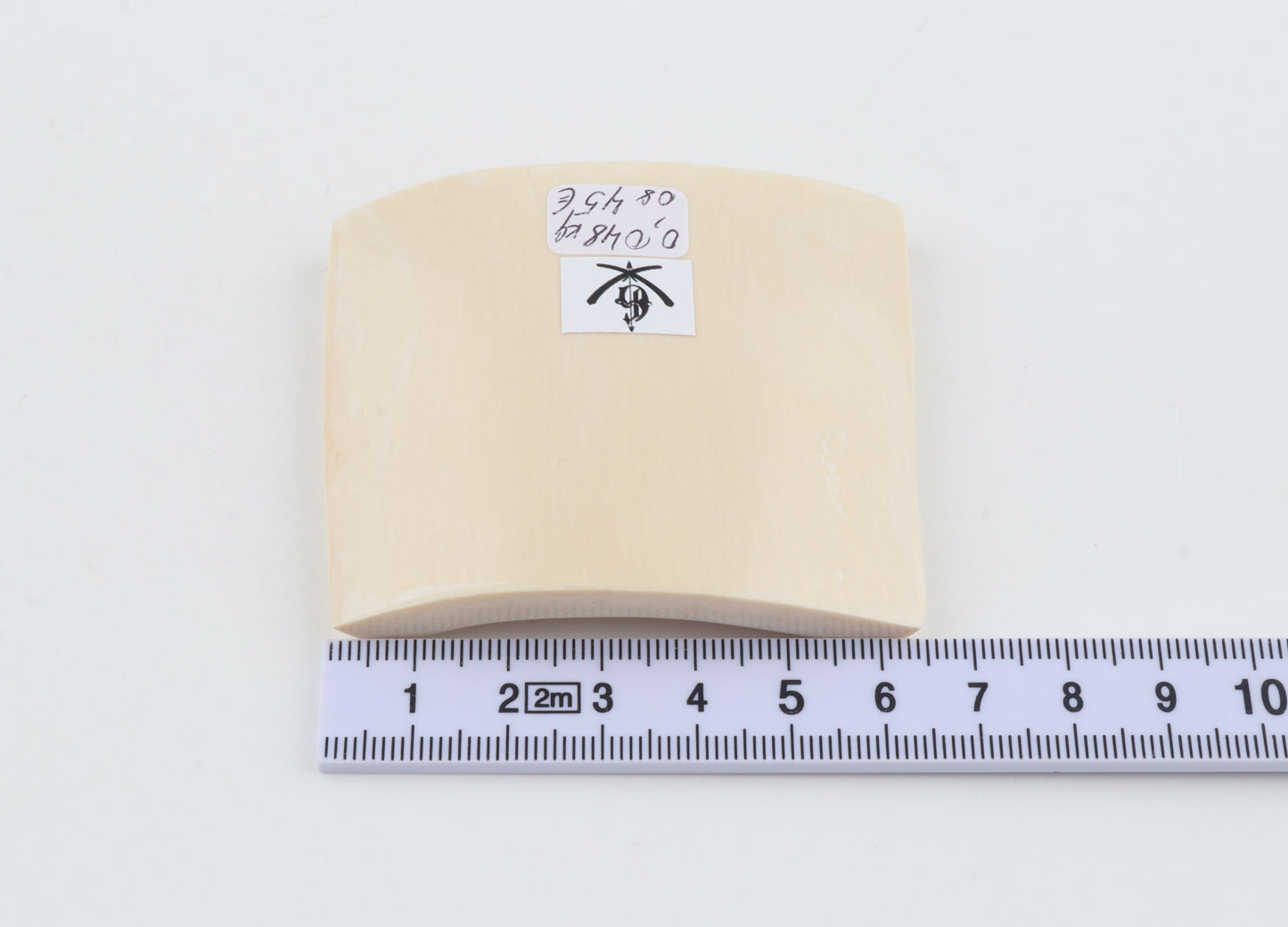 White mammoth ivory segment