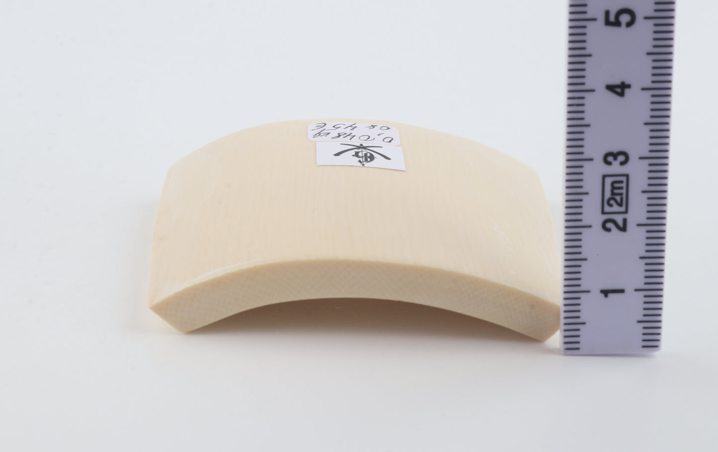 White mammoth ivory segment