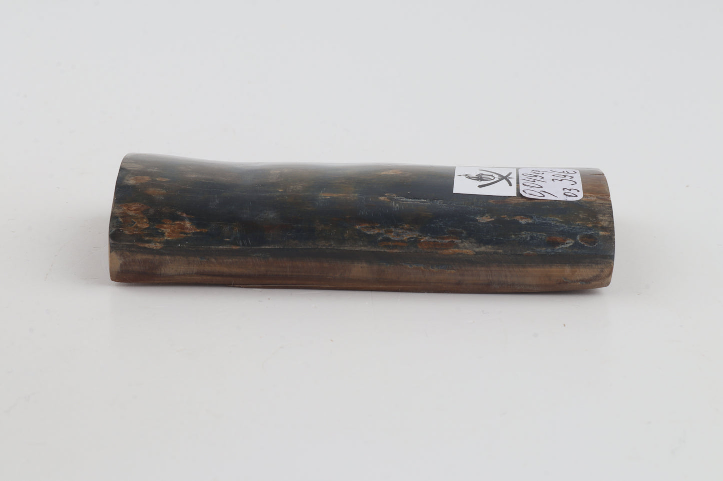 Blue-green mammoth bark