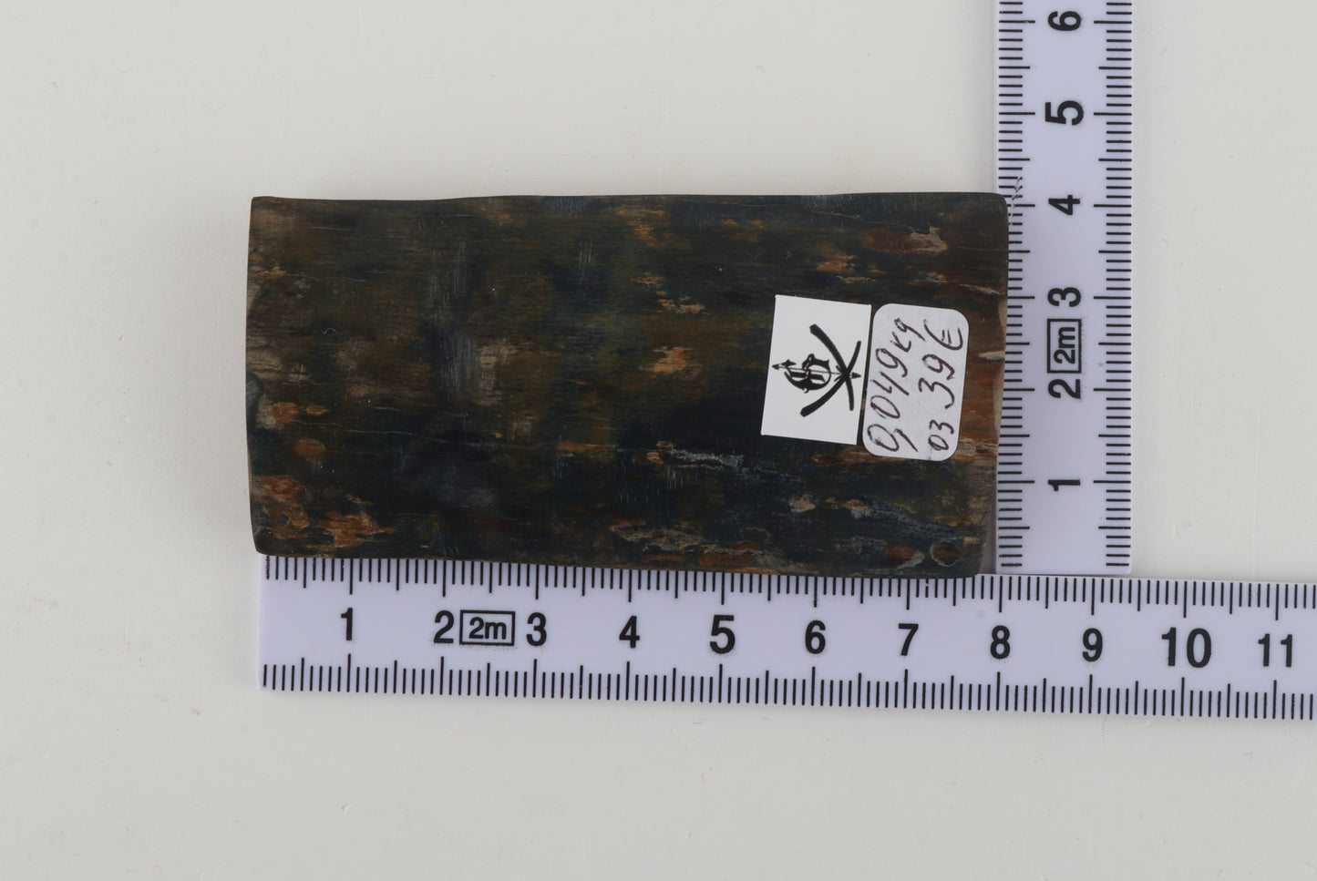Blue-green mammoth bark