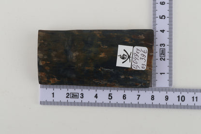 Blue-green mammoth bark