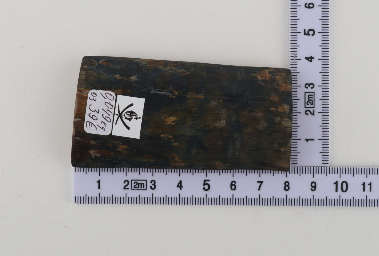 Blue-green mammoth bark