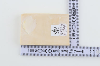 White mammoth ivory segment