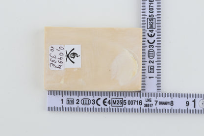 White mammoth ivory segment