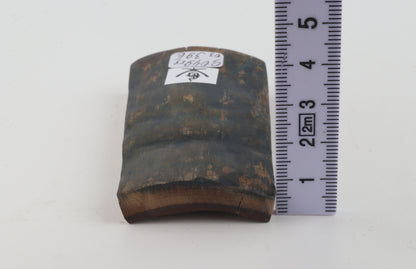 Blue-green mammoth bark