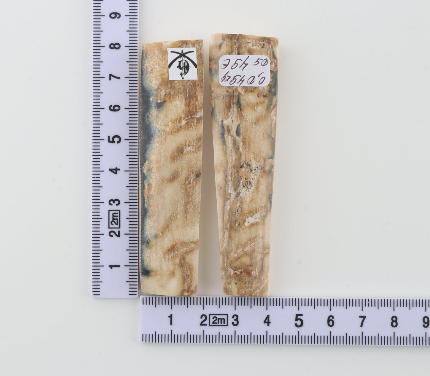 Natural mammoth bark scales