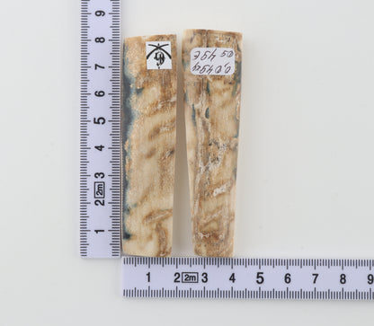 Natural mammoth bark scales
