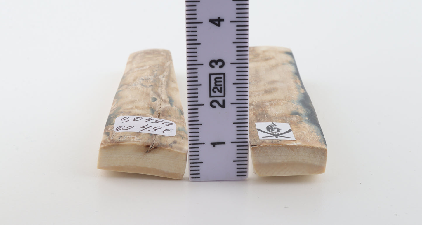 Natural mammoth bark scales
