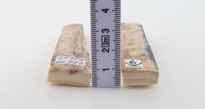 Natural mammoth bark scales