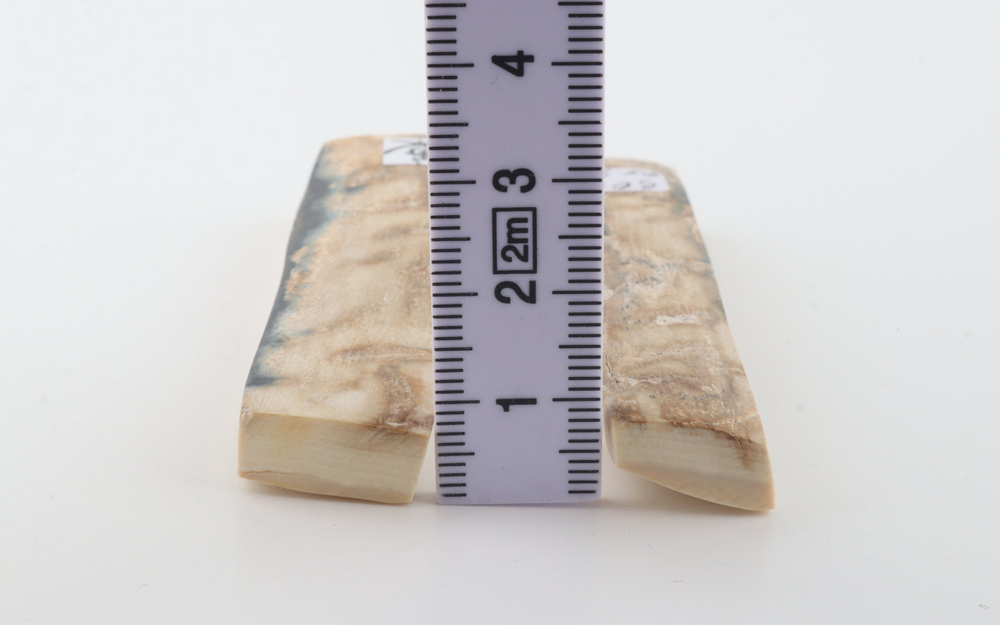 Natural mammoth bark scales