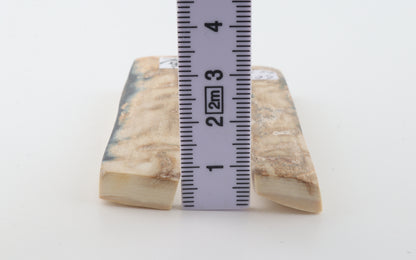 Natural mammoth bark scales