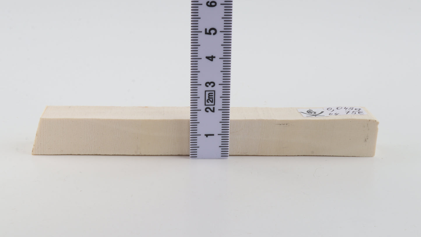 White mammoth ivory segment