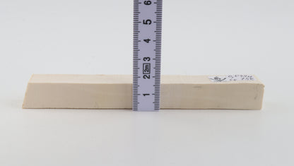 White mammoth ivory segment