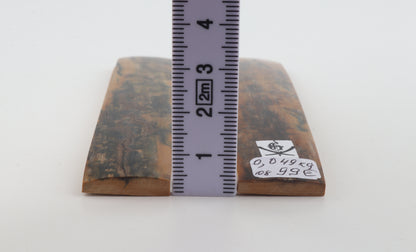Natural mammoth bark scales