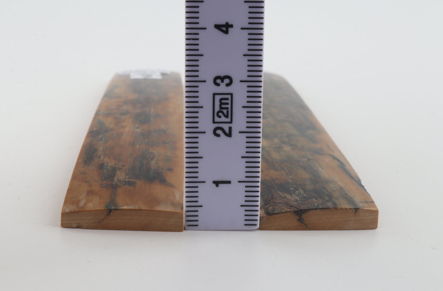 Natural mammoth bark scales