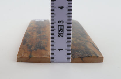 Natural mammoth bark scales