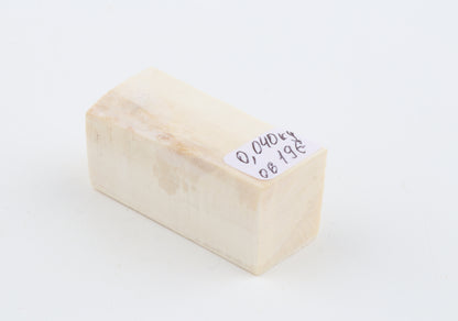White mammoth ivory segment