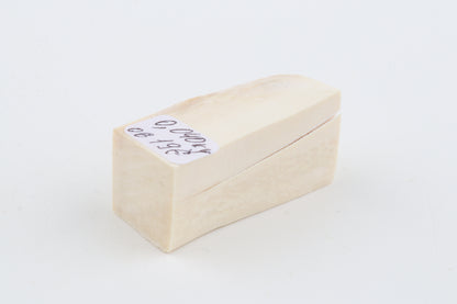 White mammoth ivory segment