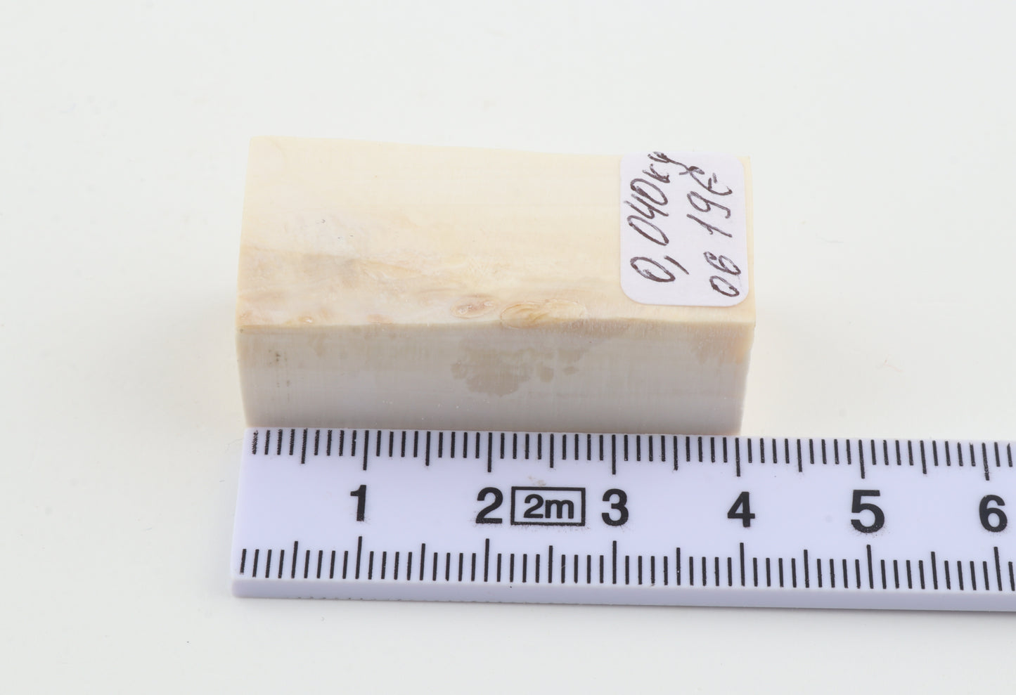 White mammoth ivory segment