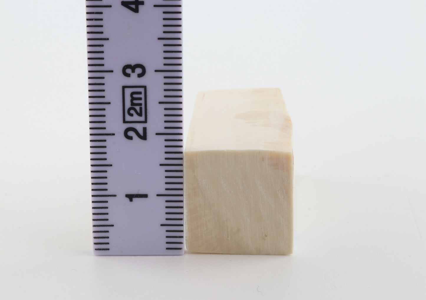 White mammoth ivory segment
