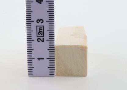 White mammoth ivory segment