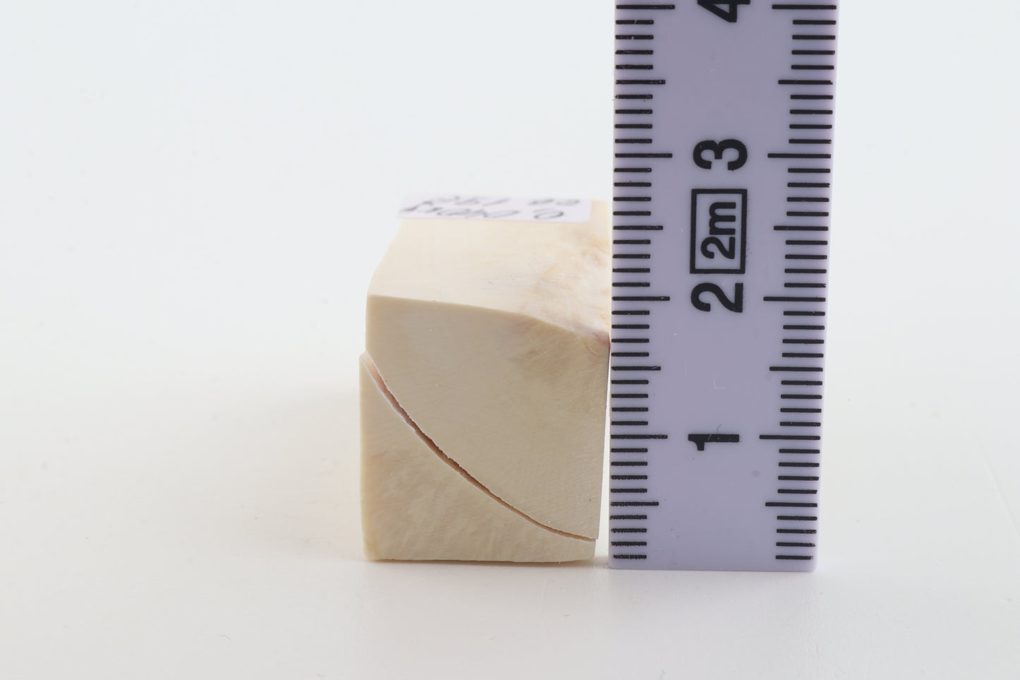 White mammoth ivory segment