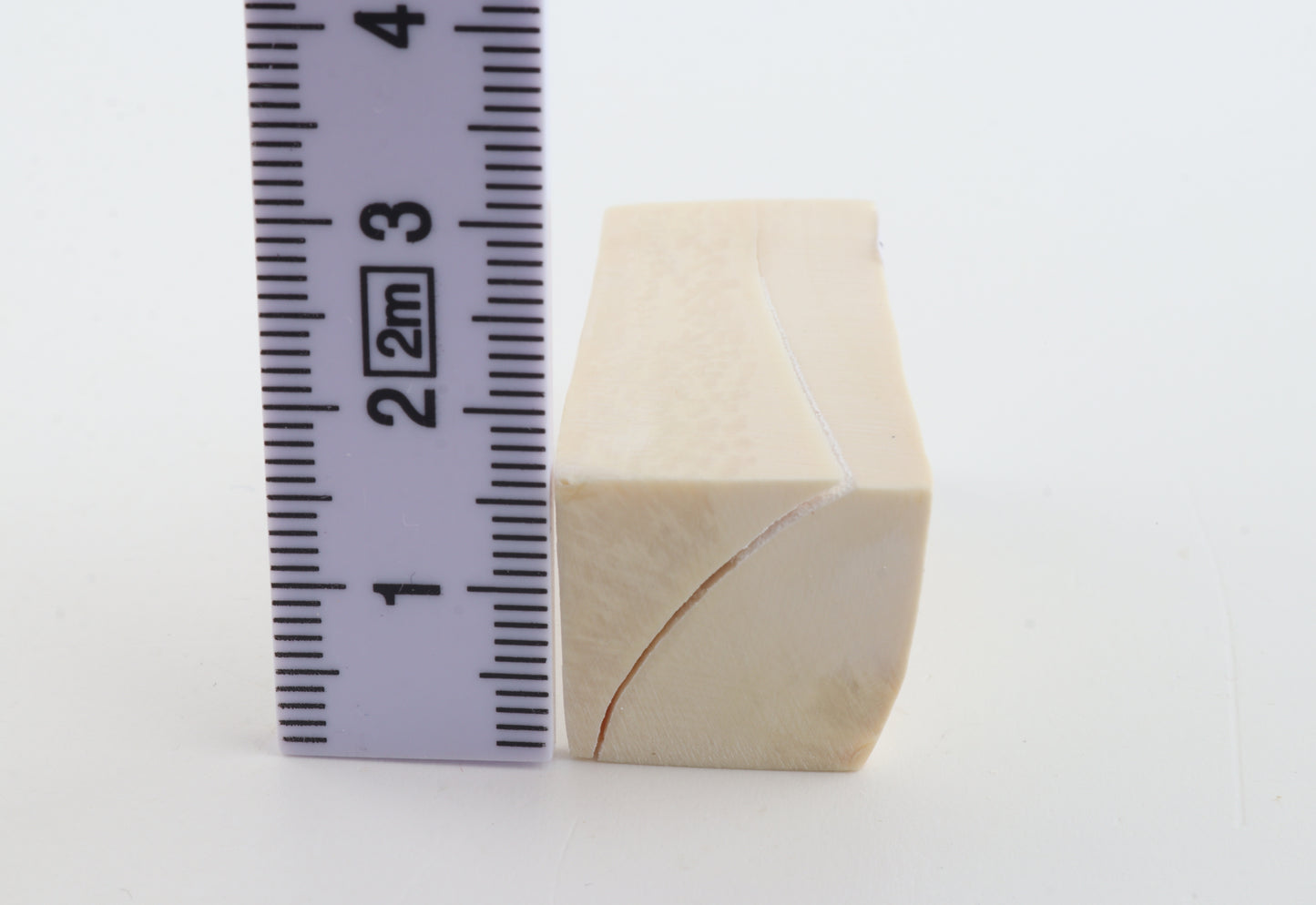 White mammoth ivory segment