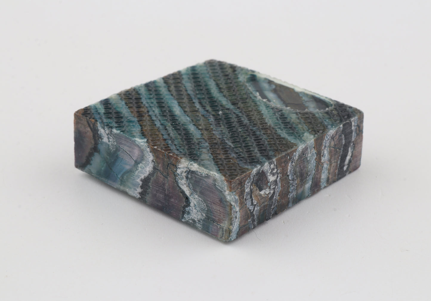 Stabilized mammoth molar piece