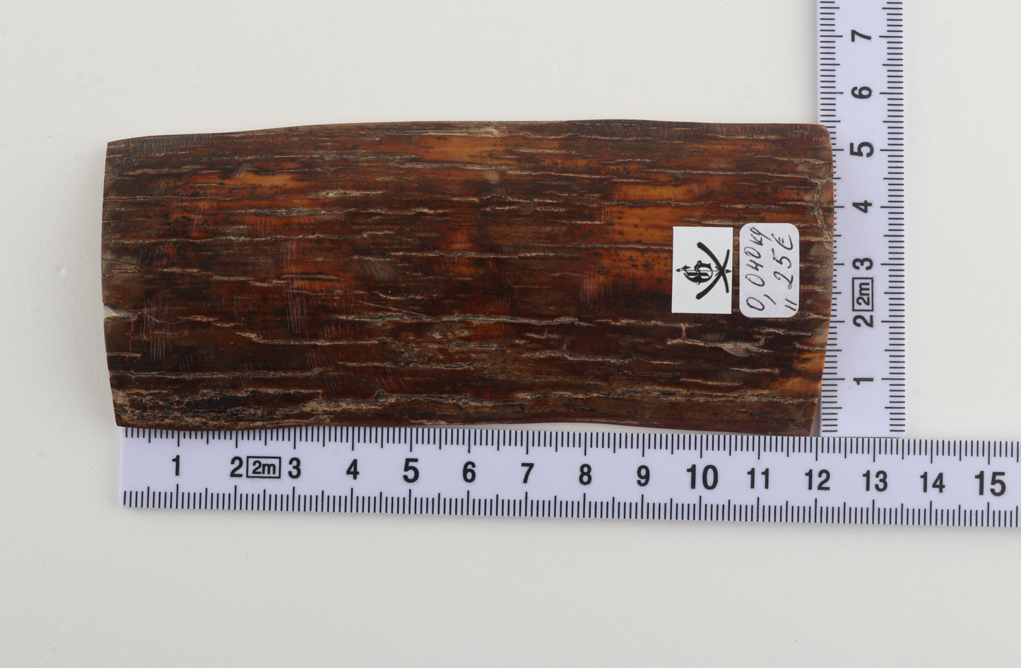 Brown-orange mammoth bark