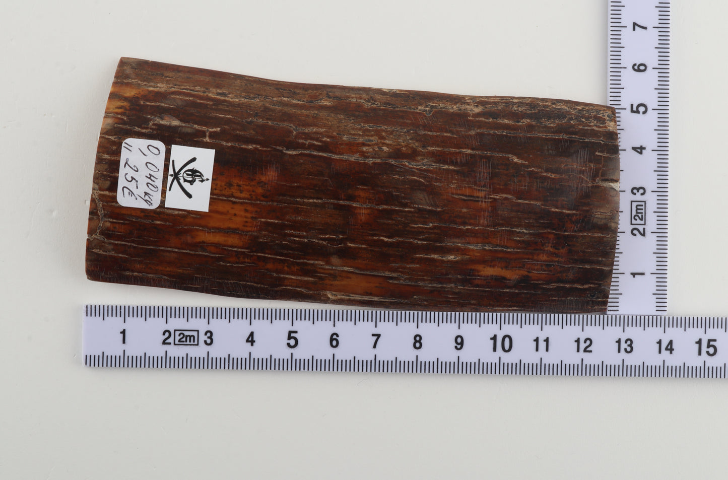 Brown-orange mammoth bark