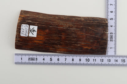 Brown-orange mammoth bark