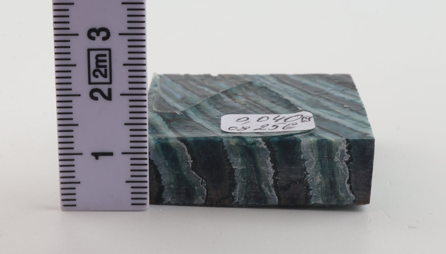 Stabilized mammoth molar piece