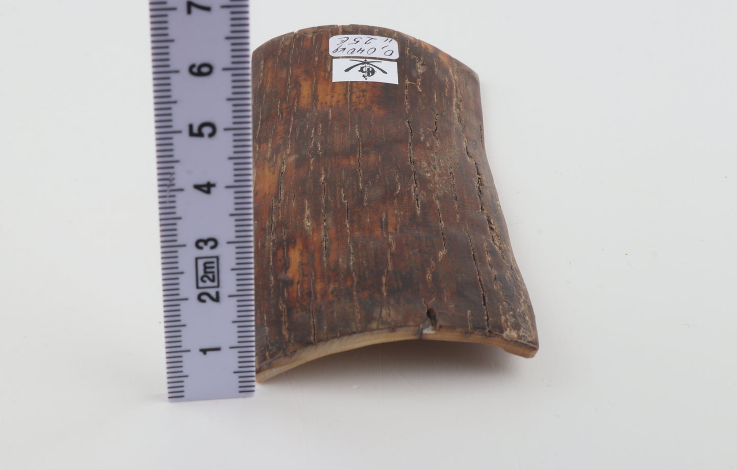 Brown-orange mammoth bark