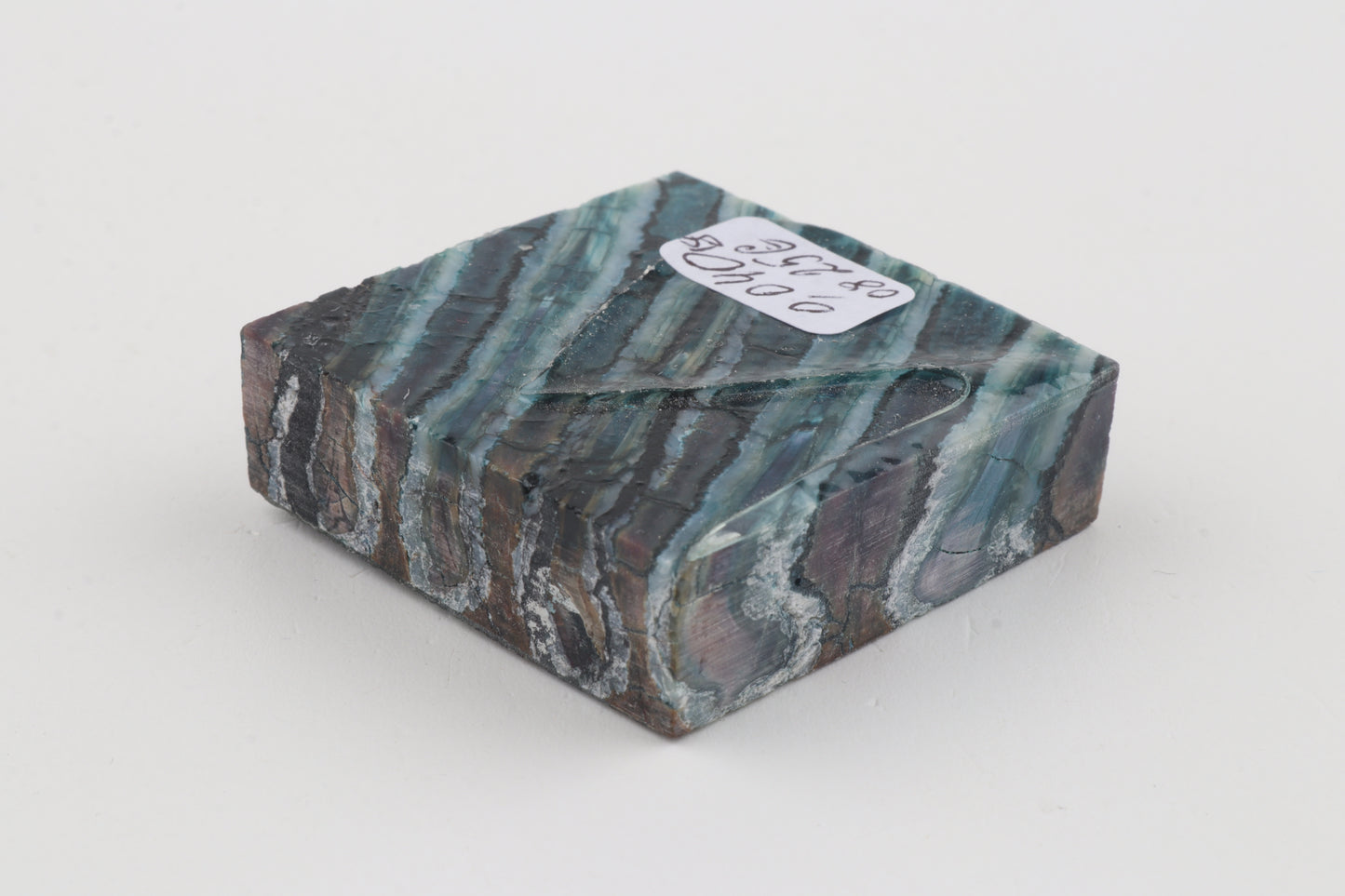 Stabilized mammoth molar piece