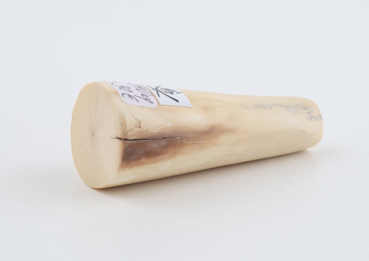 Round mammoth tusk piece