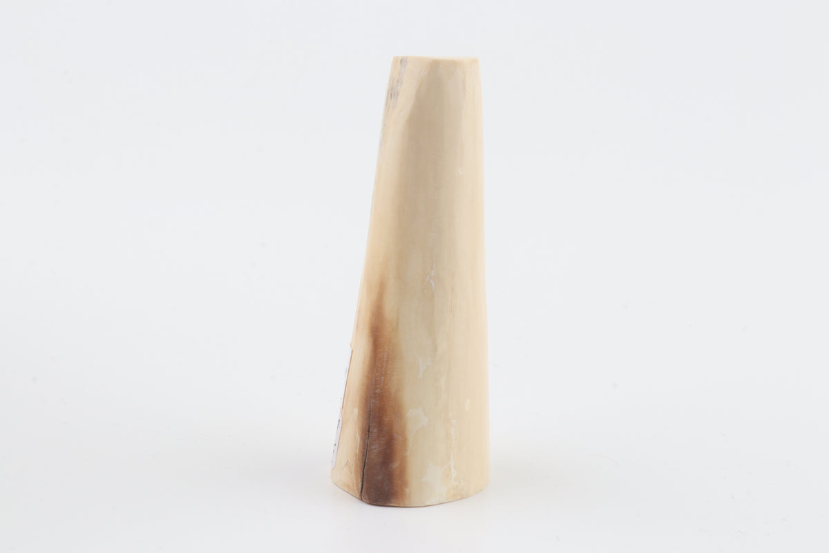 Round mammoth tusk piece