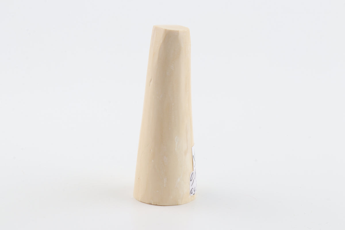 Round mammoth tusk piece