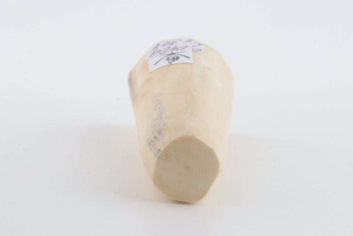 Round mammoth tusk piece