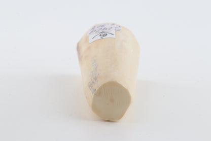 Round mammoth tusk piece