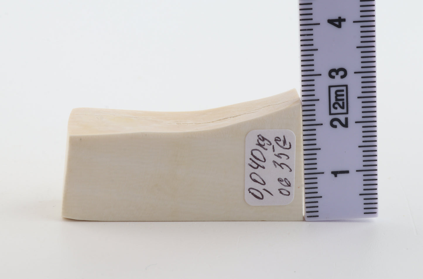 White mammoth ivory segment