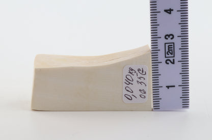 White mammoth ivory segment