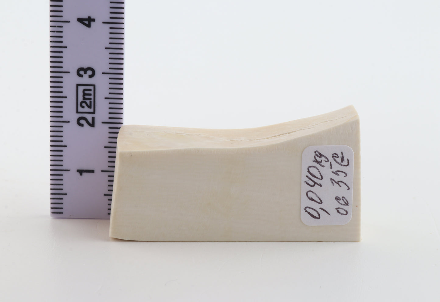 White mammoth ivory segment